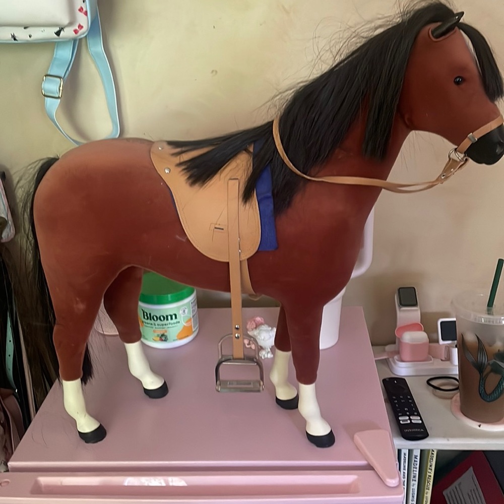 Good condition mane just needs to be brushed.